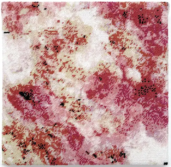 Tugtupite